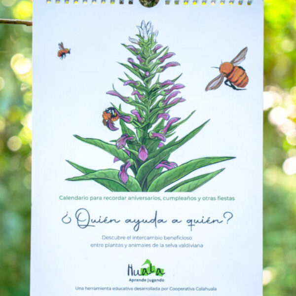 Calendario Aniversarios