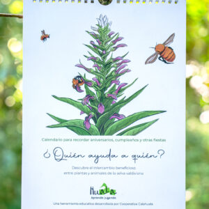 Calendario Aniversarios