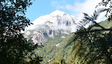 portafolio cochamo 01