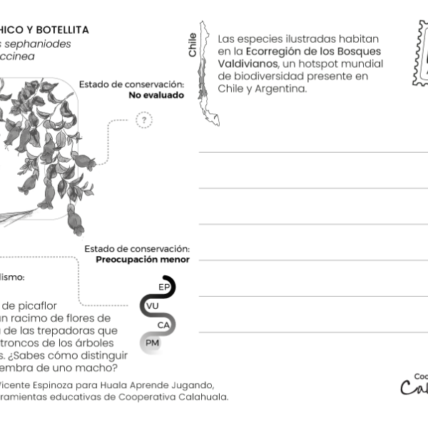 Postal Ilustrada